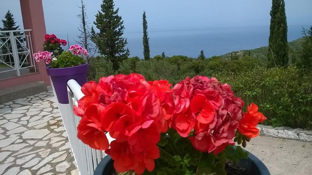 Agnantio Apartment Ayios Nikitas Bagian luar foto